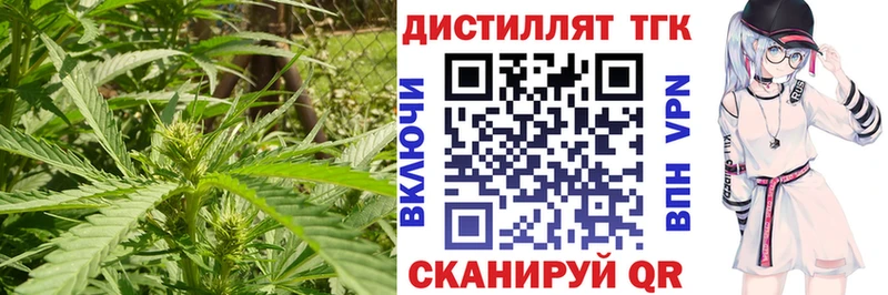 как найти наркотики  ОМГ ОМГ маркетплейс  ТГК THC oil  Билибино 
